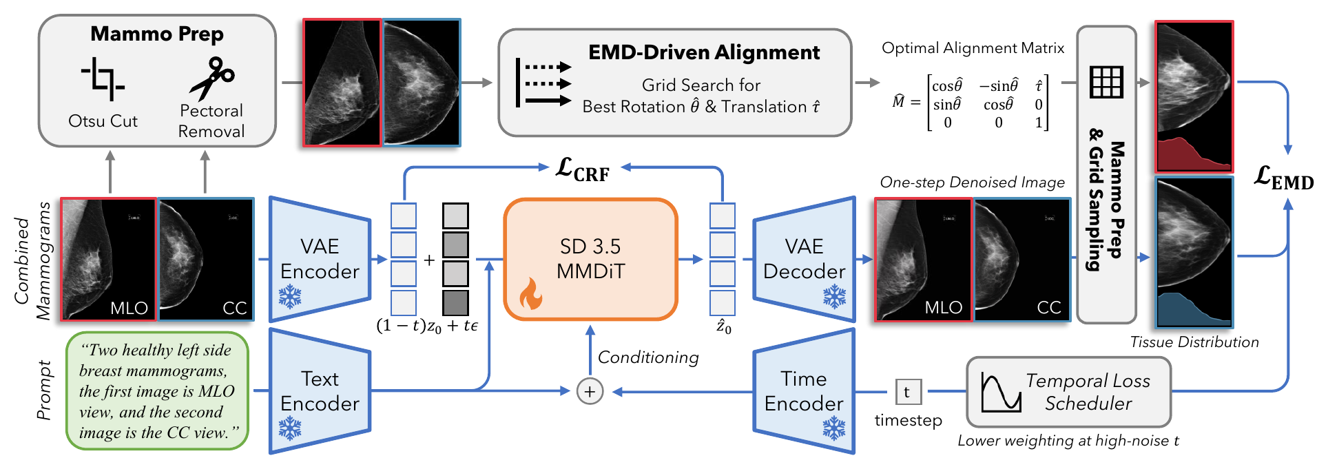 MammoFlow pipeline with conditional rectified flow, EMD-driven alignment, and temporal loss scheduling